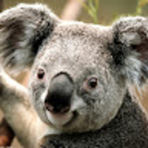 Meet your Posher, Alex - Picture 1 of 1